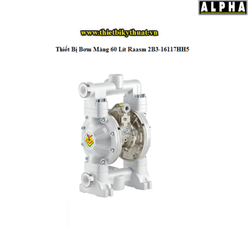 Thiết Bị Bơm Màng 60 Lít Raasm 2B3 16117HH5