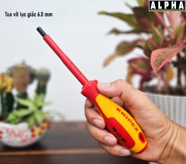 Tua Vít KNIPEX 98 13 60