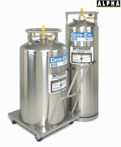 Bình Chứa Khí Nitơ Lỏng Thermo Scientific 180L