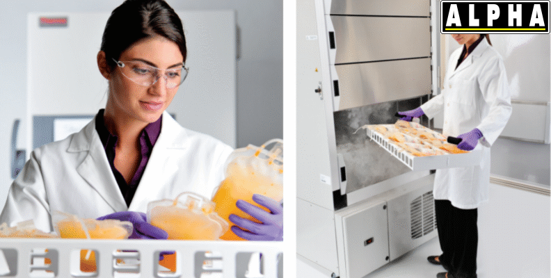 Tủ Đông Plasma Thermo Scientific XBF40D-MD